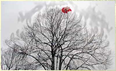 Sturm bewegt!